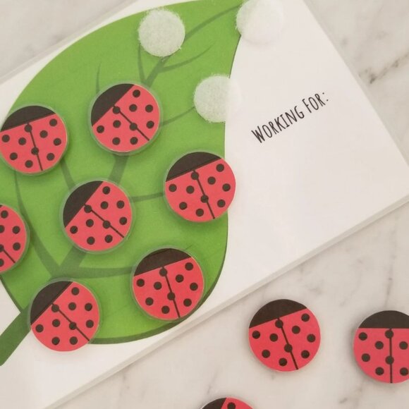 Lady Bug Reward Chart, Token Board, Chore Chart - Picture 2 of 6